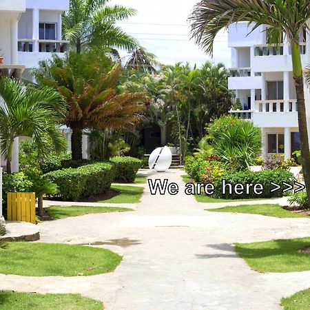 Condo Cabrinha - Direct On Kite Beach Καμπαρέτε Δωμάτιο φωτογραφία