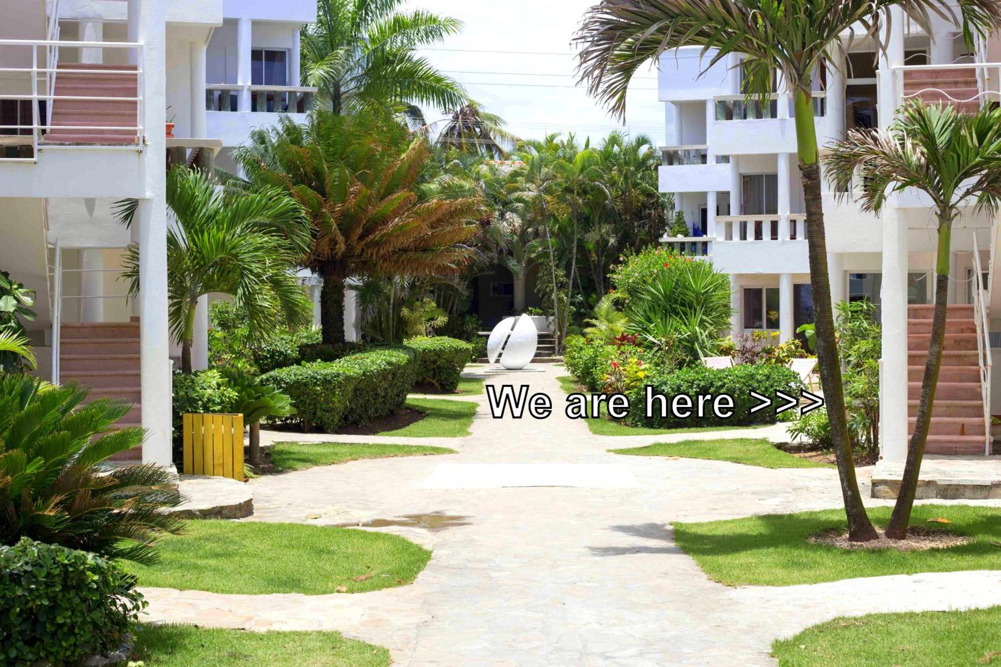 Condo Cabrinha - Direct On Kite Beach Καμπαρέτε Δωμάτιο φωτογραφία